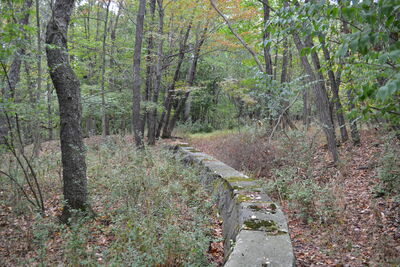 DSC_0587.JPG