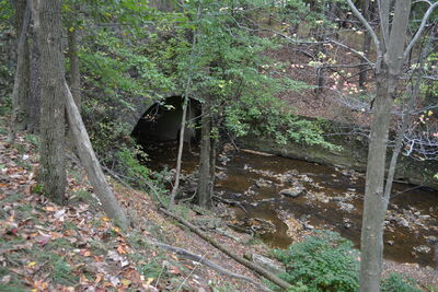 DSC_0588.JPG