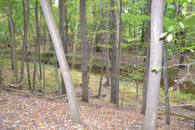 DSC_0589.JPG