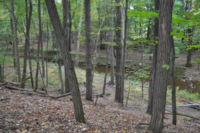 DSC_0590.JPG