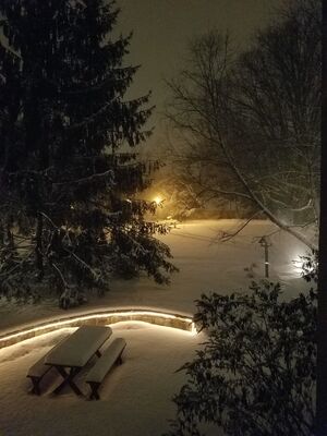 20171213_225339.jpg