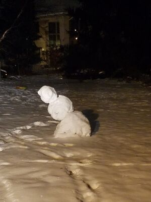 20180107_195315.jpg
