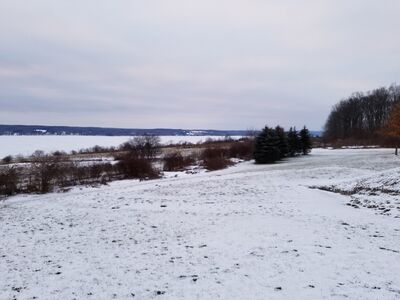 20180125_170416.jpg