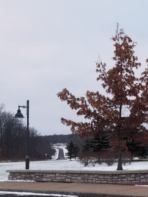 20180125_170654_001.jpg