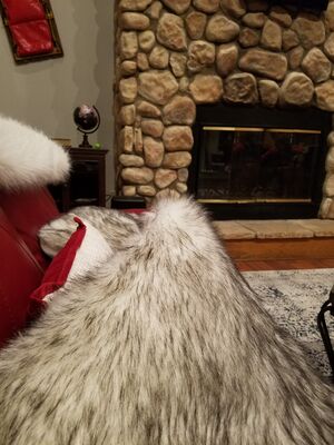 20180125_192305.jpg