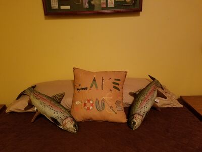 20180126_005558.jpg