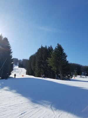 20180126_114930.jpg