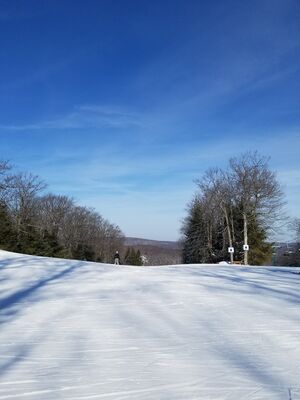 20180126_115700.jpg