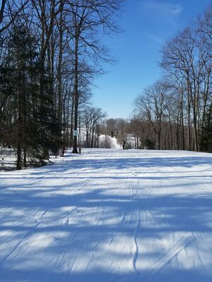 20180126_115707.jpg