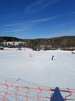 20180126_122117.jpg