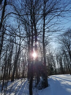 20180126_150852.jpg