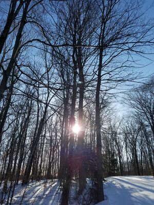 20180126_150918.jpg