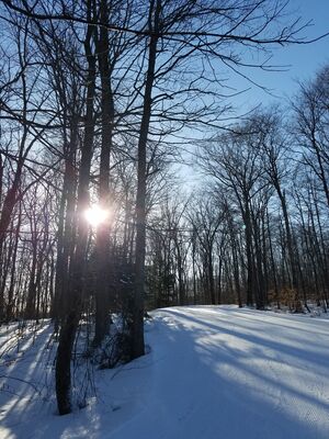 20180126_150924.jpg