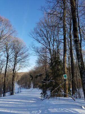 20180126_150934.jpg