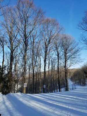 20180126_150938.jpg