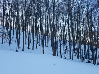 20180126_151238.jpg