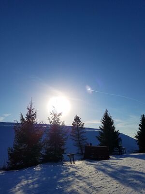 20180126_153916.jpg