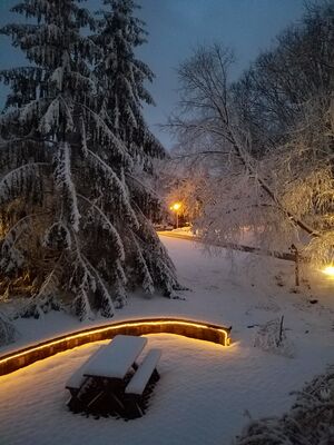 20180302_064004.jpg