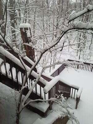 20180321_074315.jpg