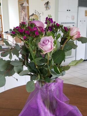 20180504_180449.jpg