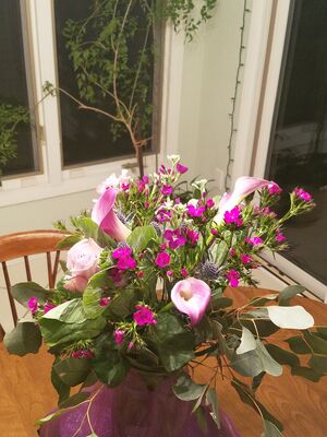 20180504_212515.jpg