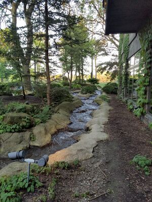 20180527_202304.jpg