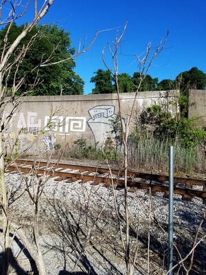 20180709_084643.jpg