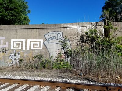 20180709_084721.jpg