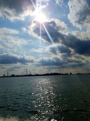 20180930_160126.jpg