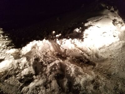 20190124_185119.jpg