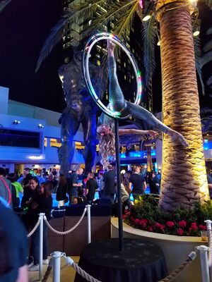 20190403_214208.jpg