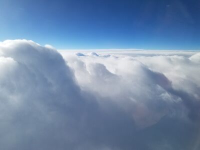 20190414_081248.jpg