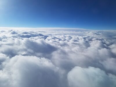 20190414_082042.jpg