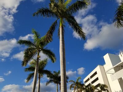 20190416_184850.jpg