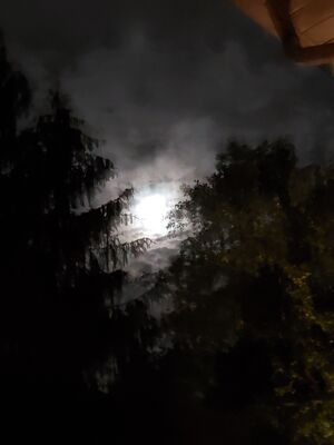 20190615_015835.jpg