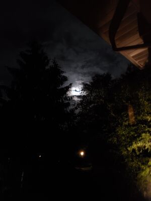 20190615_020037.jpg