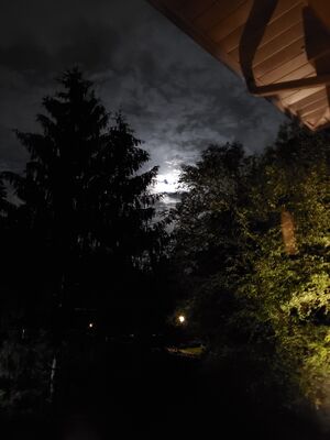 20190615_020041.jpg