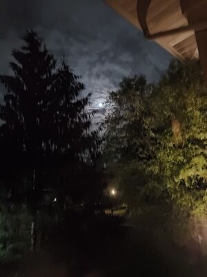 20190615_020118.jpg