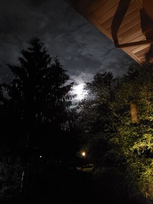 20190615_020400.jpg