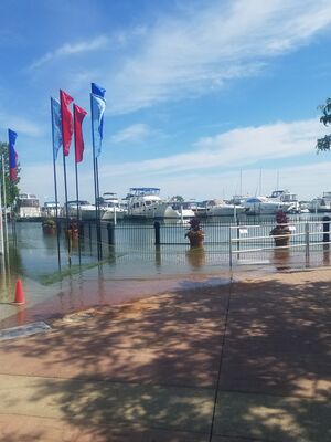 20190623_163023.jpg