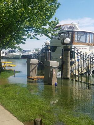 20190623_163540.jpg
