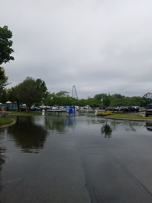 20190707_114747.jpg