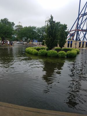 20190707_115336.jpg