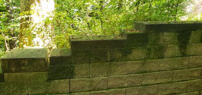 20190902_151851.jpg