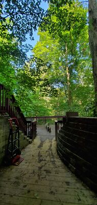 20190905_180116.jpg