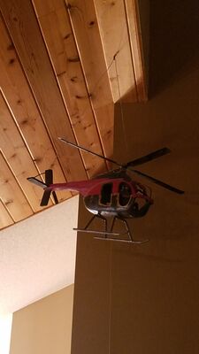 20200123_172636.jpg