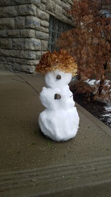20200118_150107.jpg