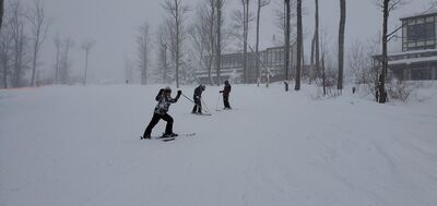 20200229_140817.jpg