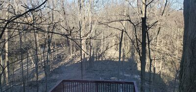 20200403_180247.jpg
