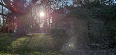 20200403_185214.jpg